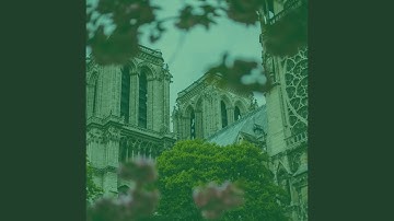 Spacious Backdrops for After Work Relax