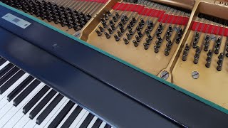 99 Years Old Steinway A Not 289 Days Without A Note