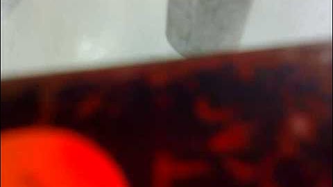 Observation of flow using propeller without baffles