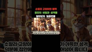 소말리 고양이의 매력, 장모의 비밀과 성격을 알아보자! 일곱번째 #사랑스러운동반자 #장난기가득한매력 #행복한교감 #우아한외모