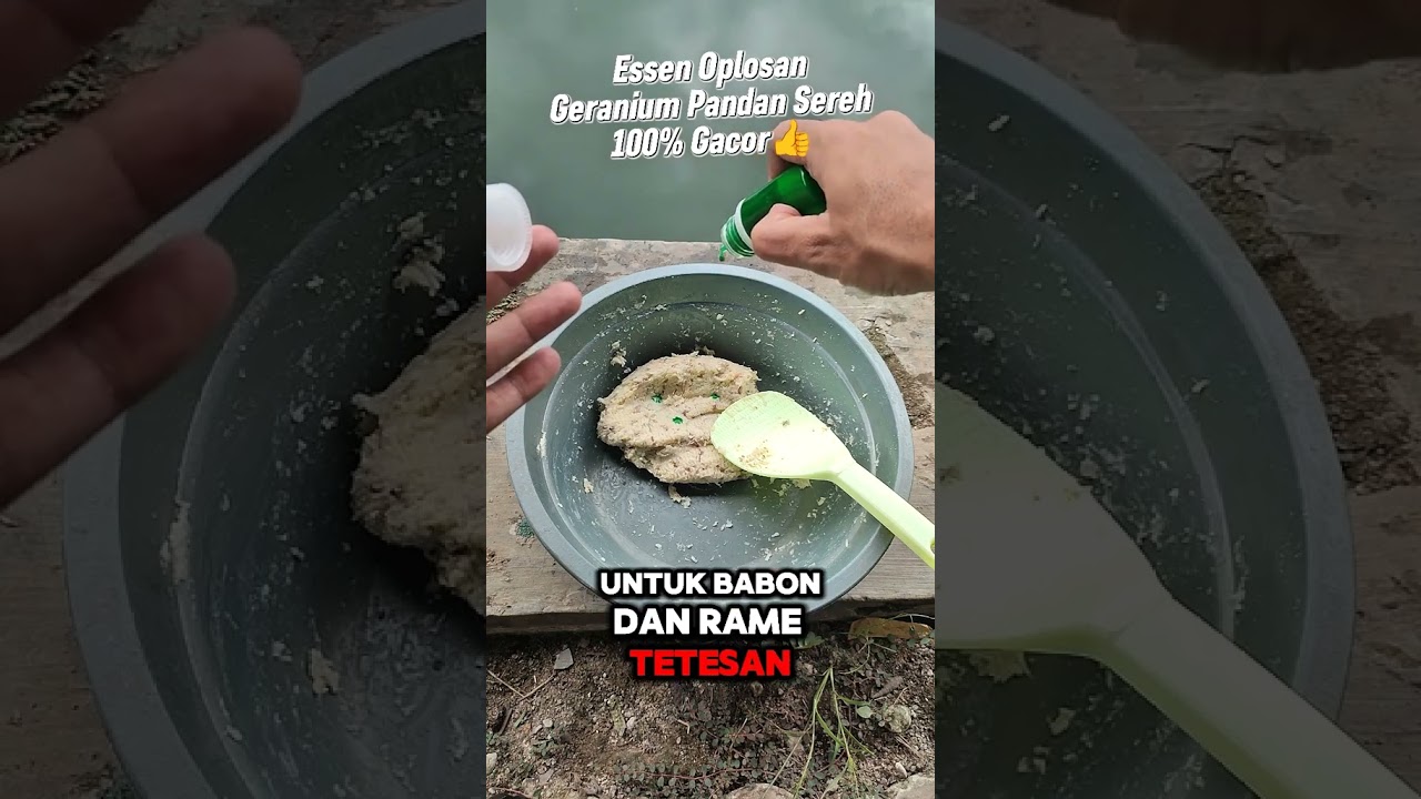 Essen oplosan gacor geranium pandan sereh 