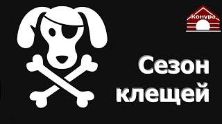СМЕРТЕЛЬНАЯ ОПАСНОСТЬ для собак В СЕНТЯБРЕ!!! бабезиоз, пироплазмоз, клещ СМЕРТЕЛЬНАЯ ОПАСНОСТЬ для собак В СЕНТЯБРЕ!!! бабезиоз, пироплазмоз, клещ
