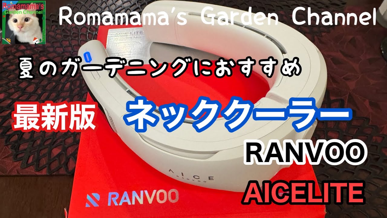 ネッククーラー】🐈‍⬛子猫の庭散歩と最新版RANVOOネッククーラーで
