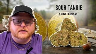 Sour Tangie Strain Breakdown: A Blast of Citrus and Creativity