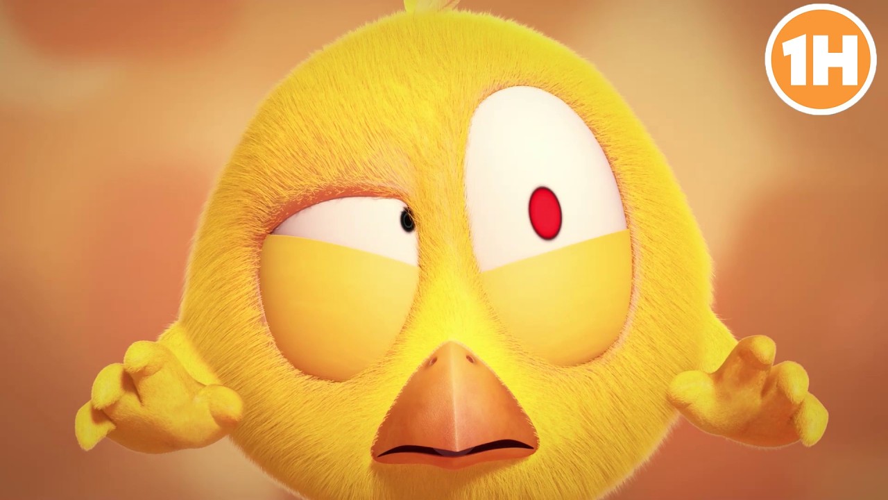 ¿Adivinas dónde se escondió Chicky? | ¿Dónde está Chicky? 🐥 Dibujos Animados en Español
