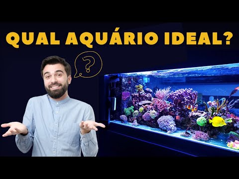 Vídeo: Como escolher decorações para um aquário