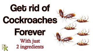 How to get rid of Cockroaches in your home with just 2 ingredients