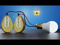 Can Two Blades in Potato Turn On Led Bulb? Let's Test This Electricity Experiment