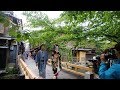 2019年5月9日 見世出し【まめ彩さん】新人舞妓 祇園甲部 #店出し