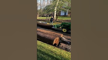 Loading big logs for the Frick Sawmill