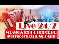 🍷🎹 LIVE 24/7 🍷🎹 - muzica lautareasca, populara, de petrecere #lautari #populara #petrecere2022