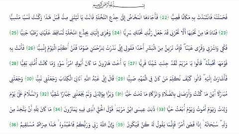 الشيخ راغب مصطفى غلوش   ورائعة الروائع  سورة مريم والمطففين والعلق