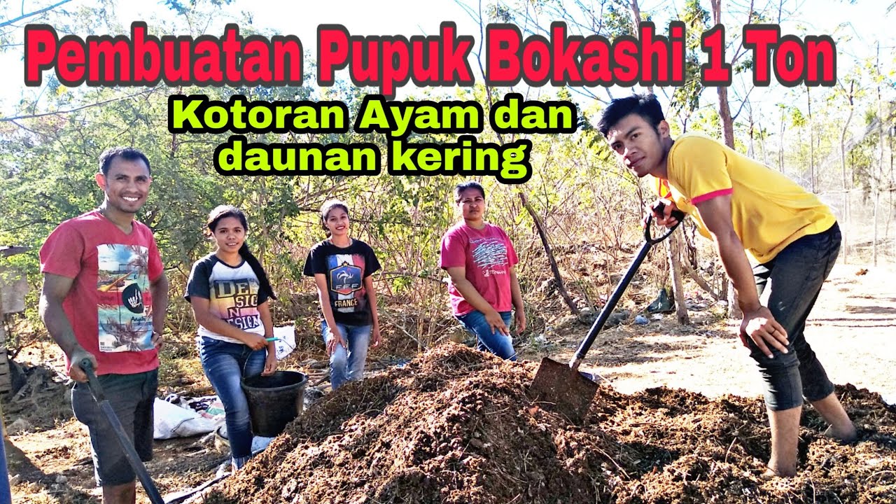 Cara pembuatan pupuk bokashi tanpa EM4 | Dunia Peternakan 