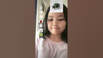 How we’d react if these bugs were on us 🐞.🪳.🐛      #bugs #  #kidscentral #reacting 