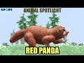 Red Panda | Animal Spotlight [S2E10] | SPORE