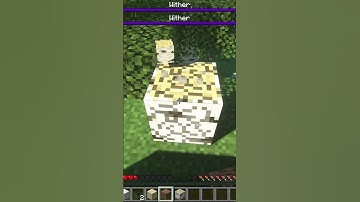 minecraft , but random mobs spawn every time i walk
