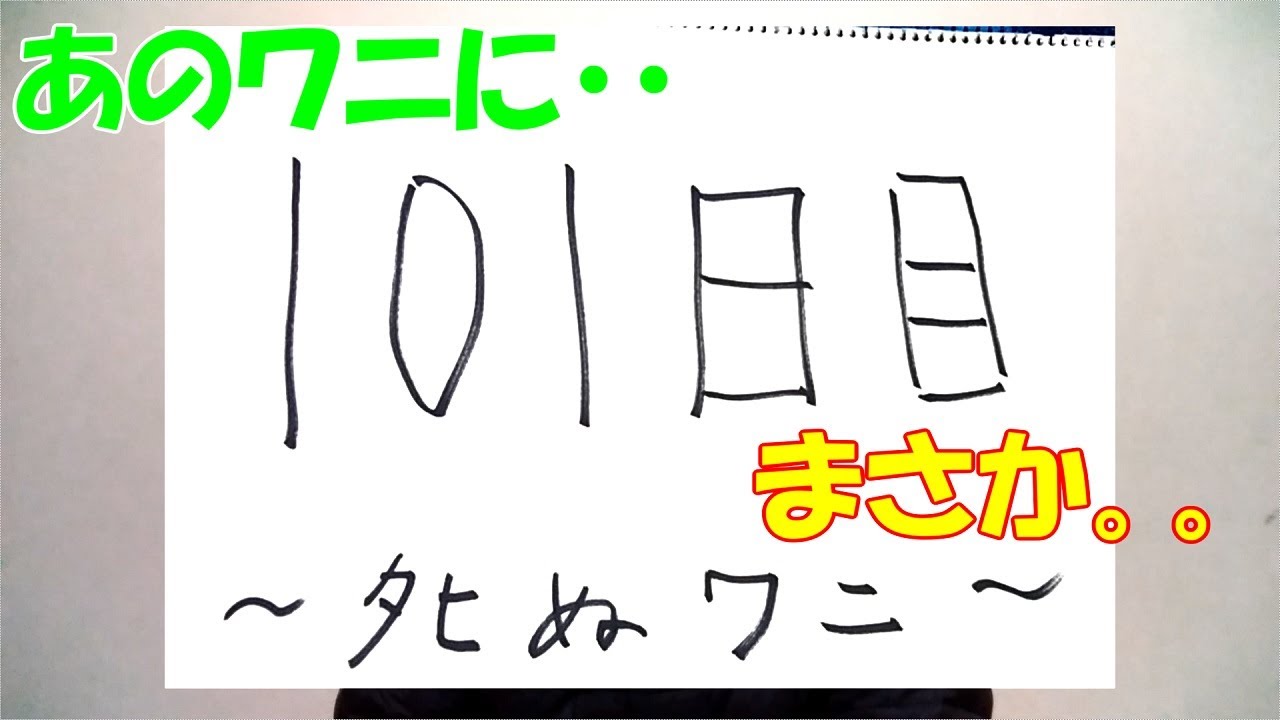 紙芝居 あのワニ 101日目があった件 真実か 100日後に死ぬ