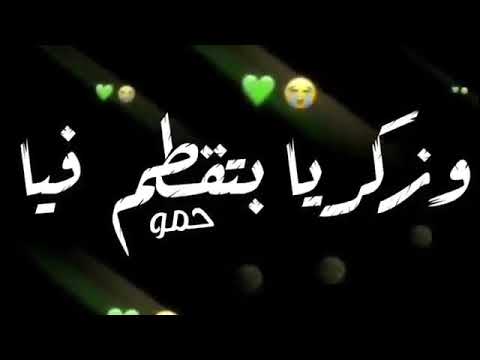 مهرجان علي البايظ حبك ليا