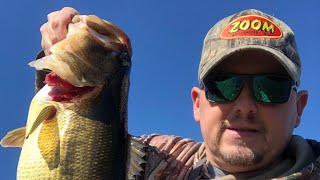 Farm Pond Bass Madness