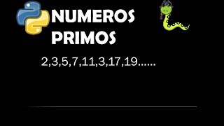 NÚMEROS PRIMOS 🐍💻