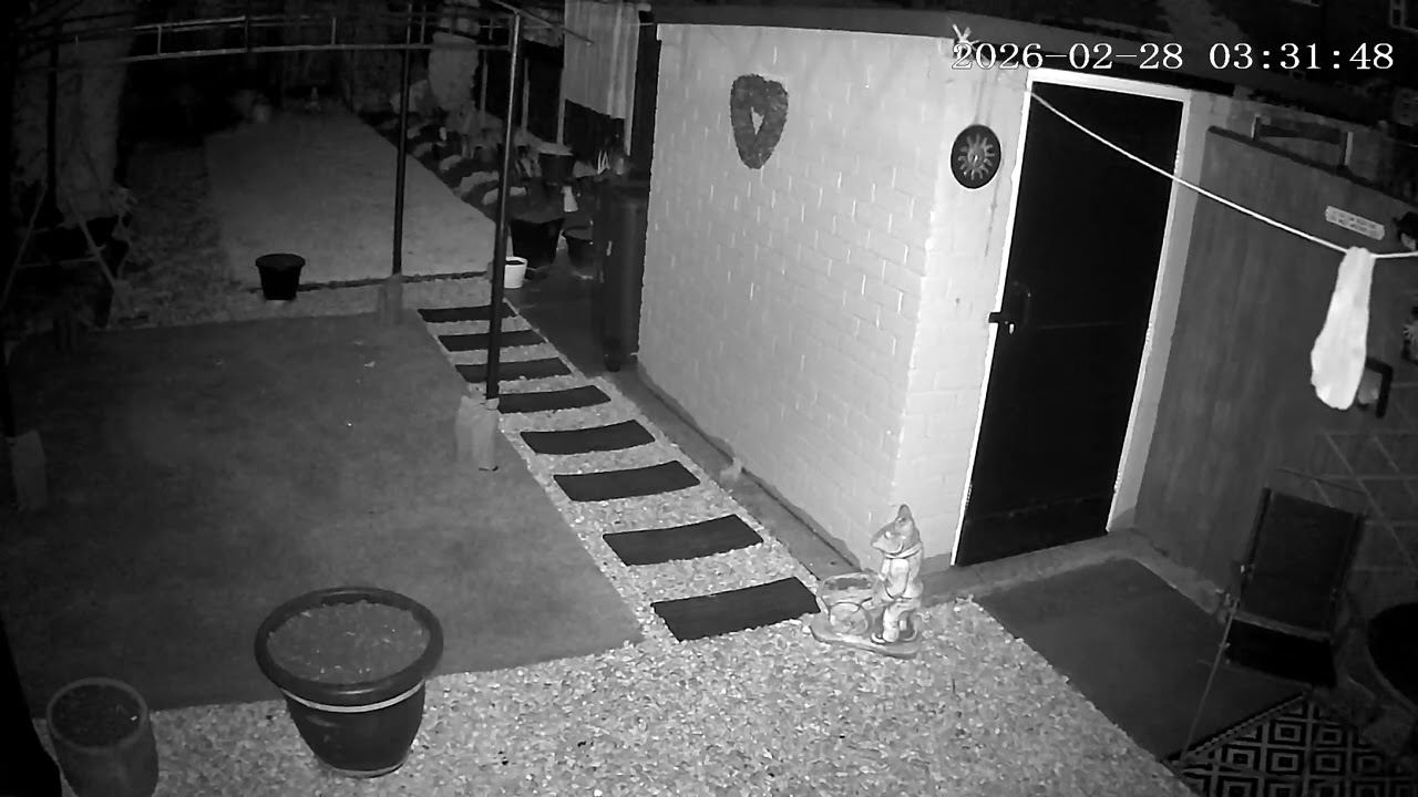 (28/2/2026) 3:30am HULL (Uk) BYC [0556]