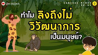 ทำไมลิงไม่วิวัฒนาการมาเป็นคน? | Curious Minds EP. 63