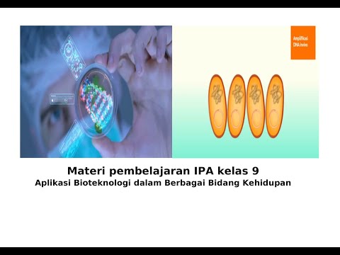 Video: Aplikasi Bioteknologi Dari Enzim Archaeal Dari Lingkungan Ekstrem