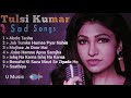 Tulsi Kumar Sad Hindi Songs DJ Kaushik Music World Tulsi Kumar Sad Hindi Songs DJ Kaushik Music World
