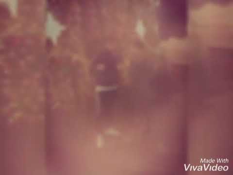 Pavel Egidio & Mariano iubirea daia dulce dulce NEW HIT. Abonați-va 🔔