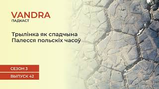 #42 Трылінка як спадчына Палесся польскіх часоў