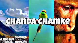 Chanda Chamke ) #chandachamke cham cham no copyright music slowed +revarb