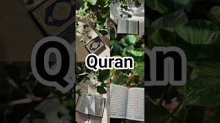 QURAN SURAH KAUSAR WITH URDU TRANSLATION #love #quranrecitation #quranforever #motivation