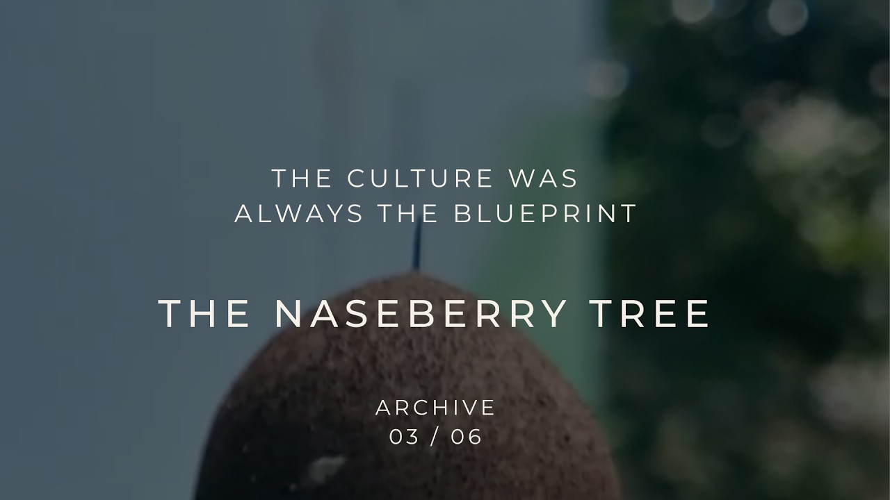 The Naseberry Tree