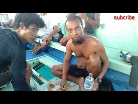 Spearfishing to segaluh