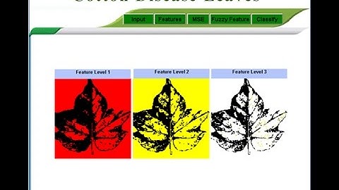 cotton disease fuzzy feature selection and detection Matlab Project