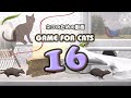Mix16 30 game for cats 16