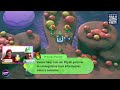 Super Mario Bros. Wonder e Super Mario 3D World