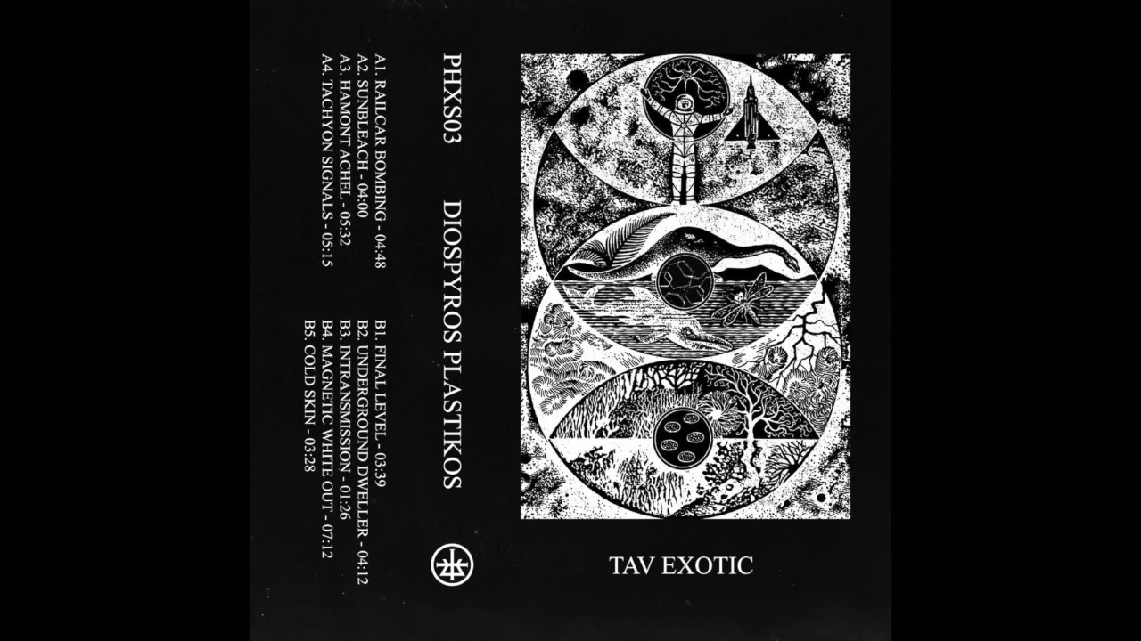 Tav Exotic - Sunbleach