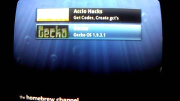 Gecko OS - Erreur au lancement du jeu.