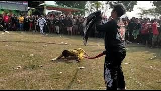 ngamuk e siluman macan putro taruno ronggo wijoyo