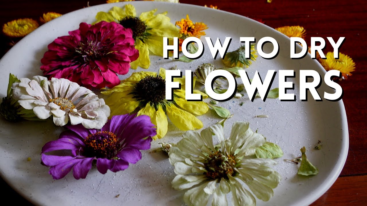 Drying Flowers in Silica Gel