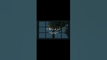 سورة الماعون/عبد الرحمن مسعد