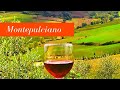 Medieval town of Montepulciano and its wine.
