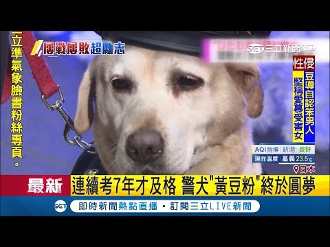 考7次才及格！脫線警犬"黃豆粉"過世 丸龜市民募款打造銅像｜記者劉如穎｜【萌寵54來當家】20181210｜三立新聞台