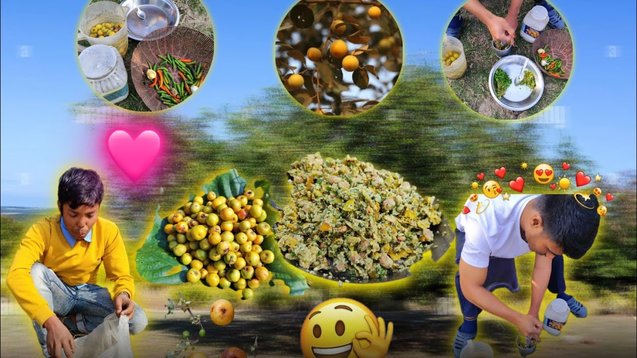 Jujube palms, we are eating it's very tasty 😋|| yummy yummy 🤤 vlog video||🤤🤤🤤