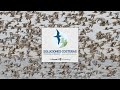 Coastal Conservation and Shorebird Protection Quiz