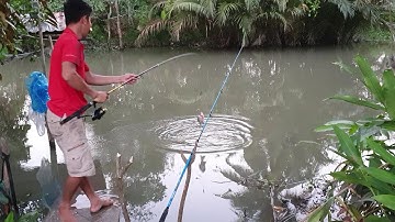 Thử câu cá sông nhỏ trước cửa nhà. điểm câu giải quyết cơn ghiền | Săn bắt SÓC TRĂNG |