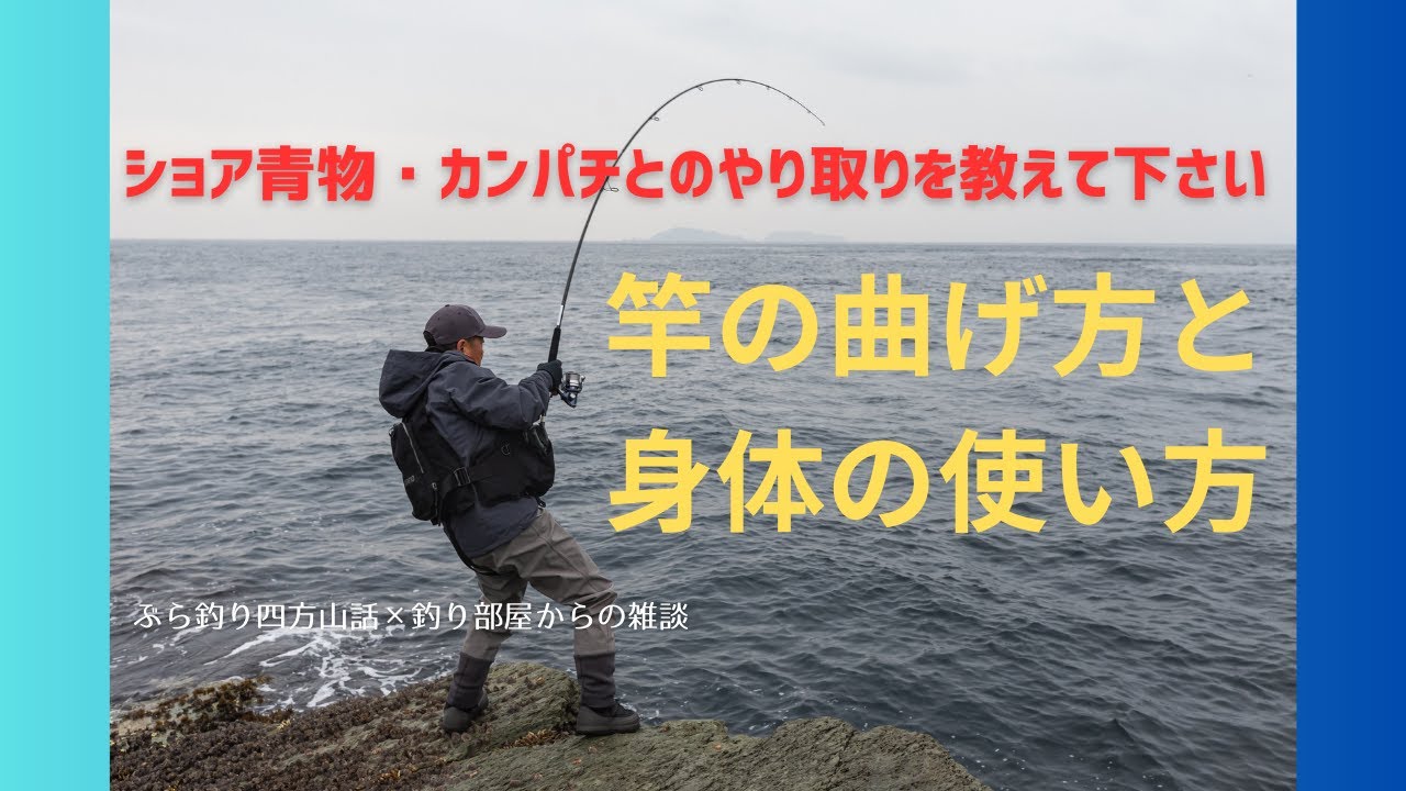 磯釣りやられる方　必見 Please tell me how to handle shore bluefish and amberjack! How to