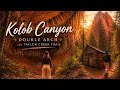 Kolob Canyons Hike Guide - Taylor Creek Trail in Zion National Park