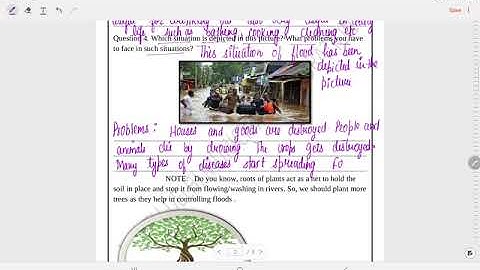 Class 4 EVS Worksheet Solution week 15(8/9/21) Topic: Lesson 13- A River